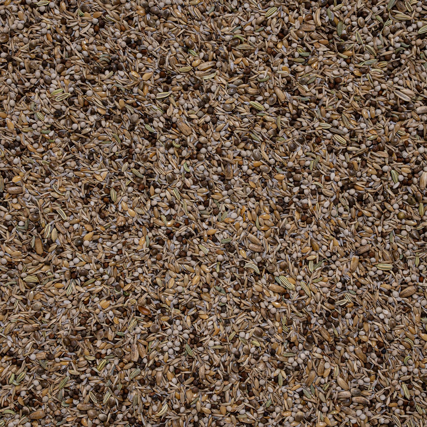 17 - Goldfinches Platinum - Bilde 2