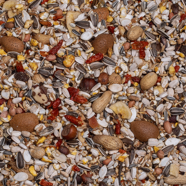 26 - Exquisit Nuts - Bilde 2