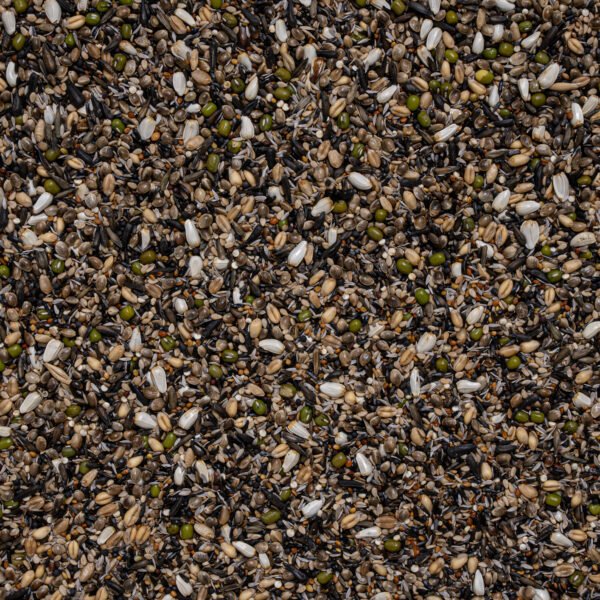 38 - Germination Seeds British Finches Supreme - Bilde 2