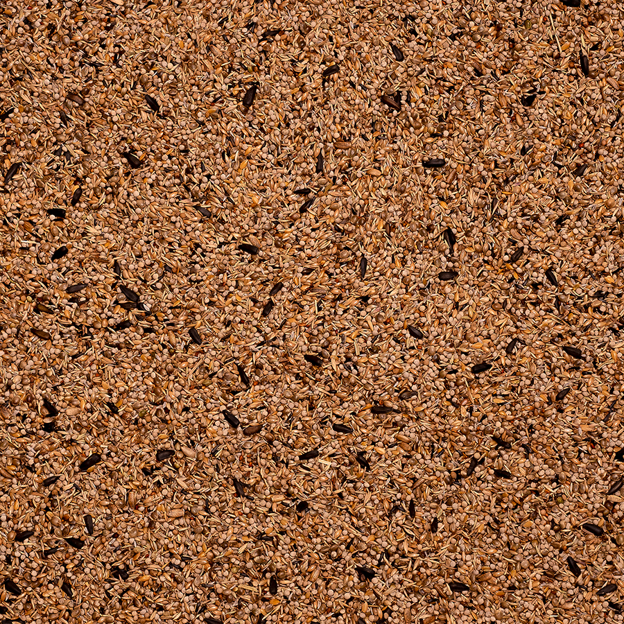 47 - Goldfinches Light - Bilde 2