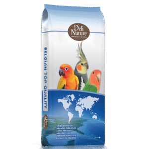 69 - Large Parakeets with Sunflower Seed
