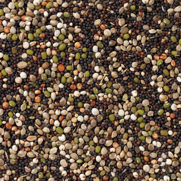 82 - Canaries Germination Seeds - Bilde 2