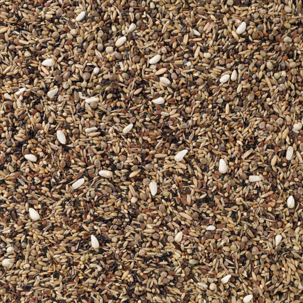 83 - British Finches without Rapeseed - Bilde 2