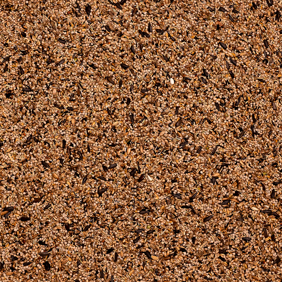 87 - Goldfinches Extra - Bilde 2