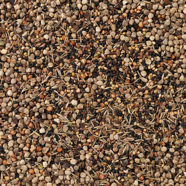 94 - Wild Seeds - Bilde 2