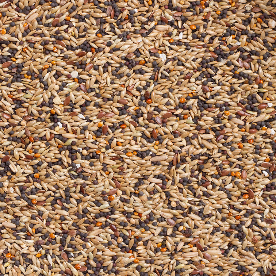 95 - Chaffinches Winter Mix - Bilde 2