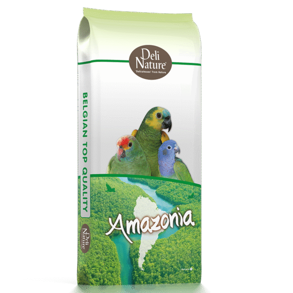 22 - Parrots Amazonia