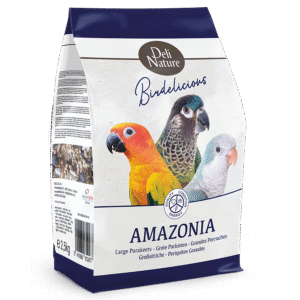 Large Parakeets Amazonia Birdelicious