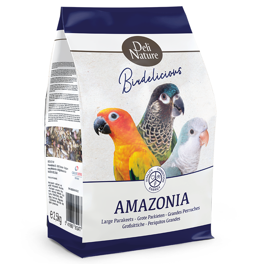 Large Parakeets Amazonia Birdelicious