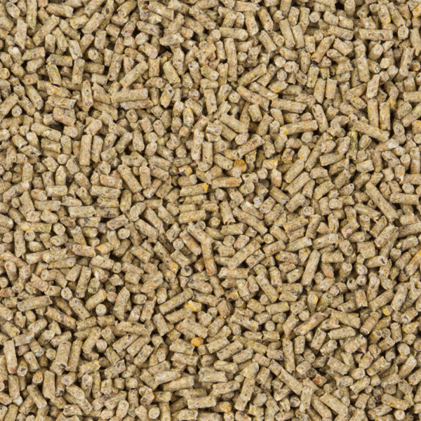 ChiX Growth Pellet - Bilde 2