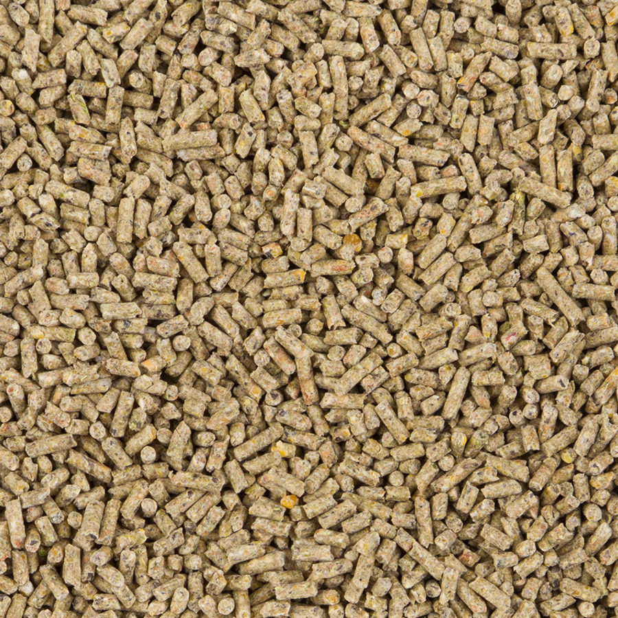 Deli Nature ChiX Laying Pellet til verpehøns