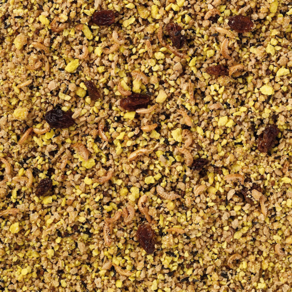 Eggfood Large Parakeets & Parrots Moist - Bilde 2
