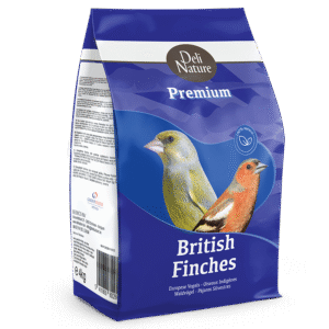 British Finches Premium