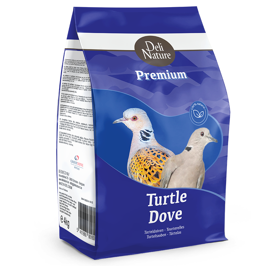 Turtle Dove Premium