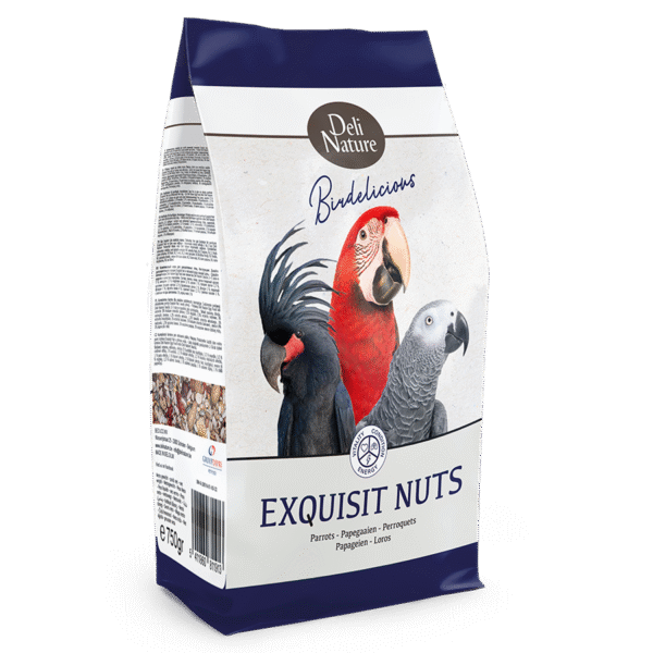Parrots Exquisit Nuts Birdelicious