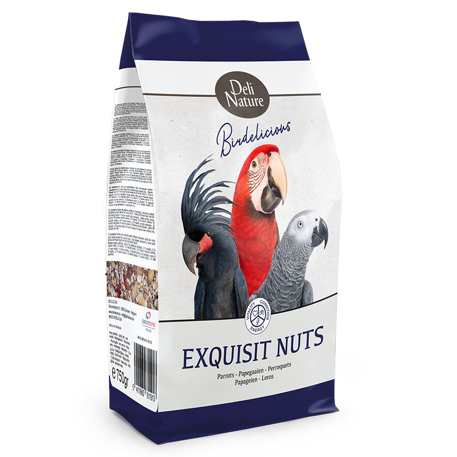 Parrots Exquisit Nuts Birdelicious
