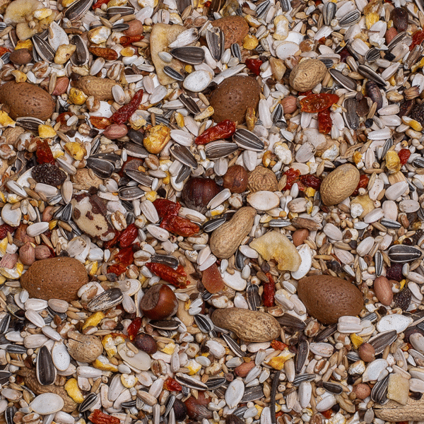 Parrots Exquisit Nuts Birdelicious - Bilde 2
