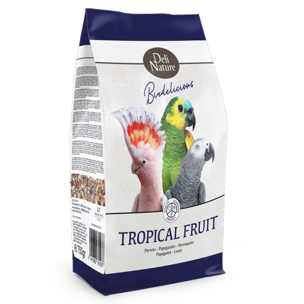 Parrots Tropical Fruit Birdelicious