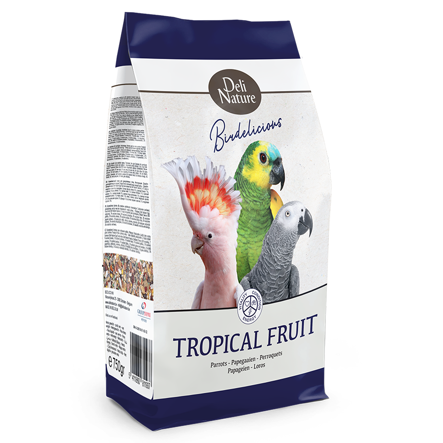 Parrots Tropical Fruit Birdelicious