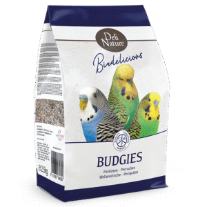 Budgies Birdelicious