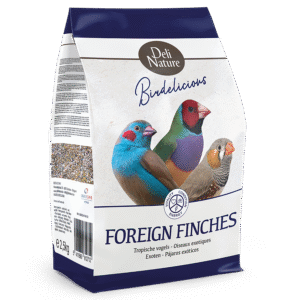 Foreign Finches Birdelicious