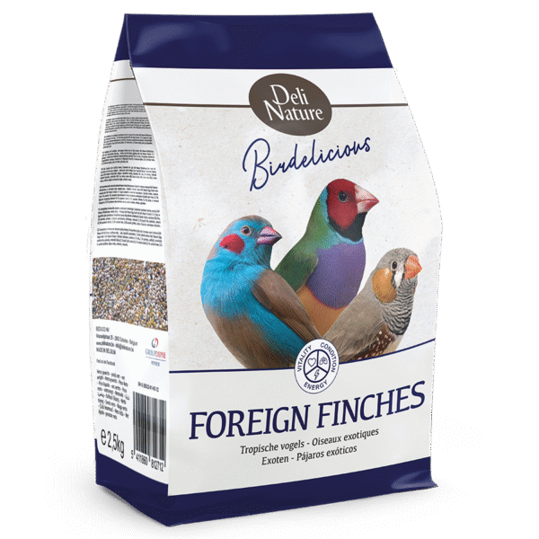 Foreign Finches Birdelicious