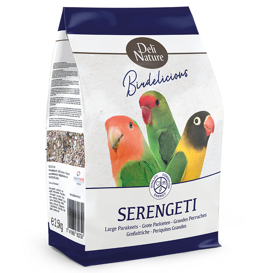 Large Parakeets Serengeti Birdelicious