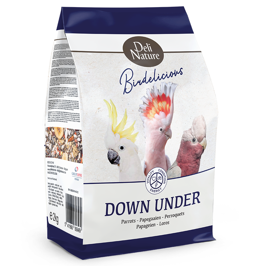 Parrots Down Under Birdelicious