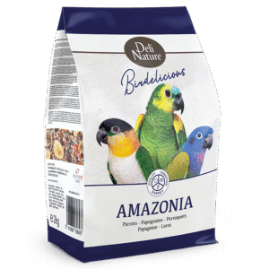 Parrots Amazonia Birdelicious