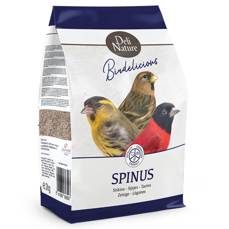 Spinus - Siskins Birdelicious