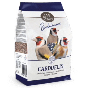 Carduelis - Goldfinches Birdelicious