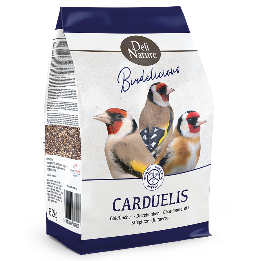 Carduelis - Goldfinches Birdelicious