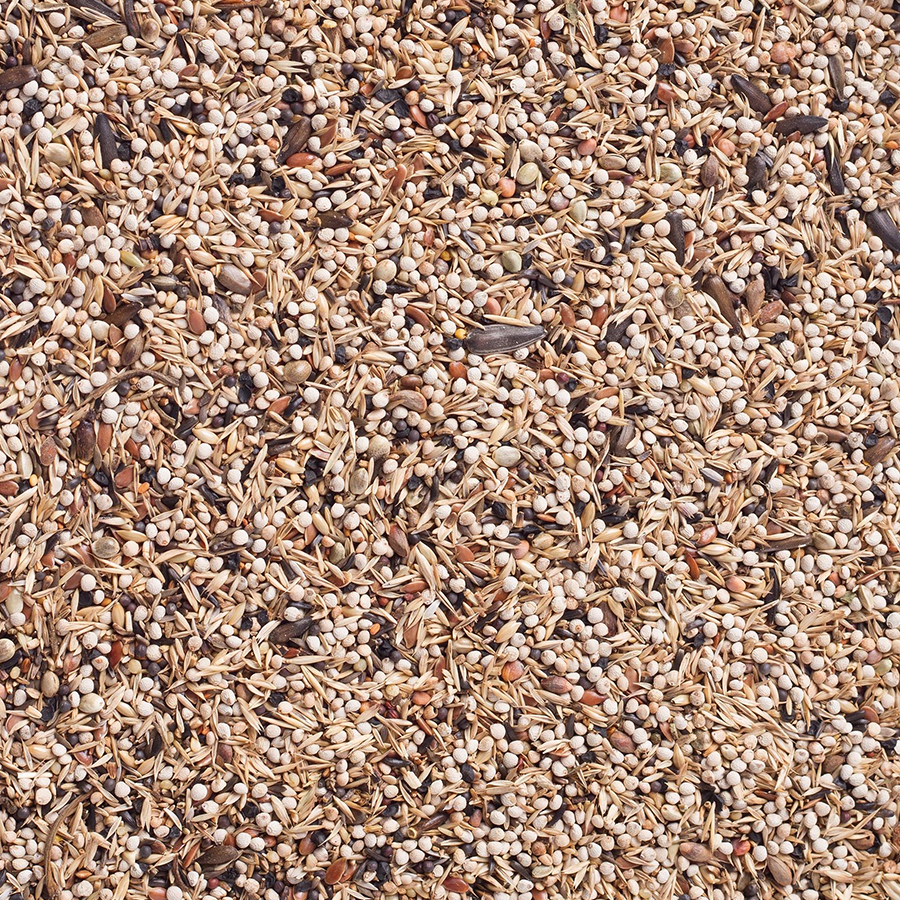 Carduelis Light - Goldfinches Light Birdelicious - Bilde 2