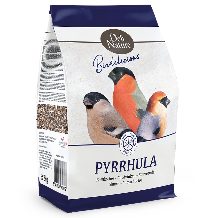 Pyrrhula - Bullfinches Birdelicious