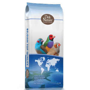 40 - Foreign Finches Basic