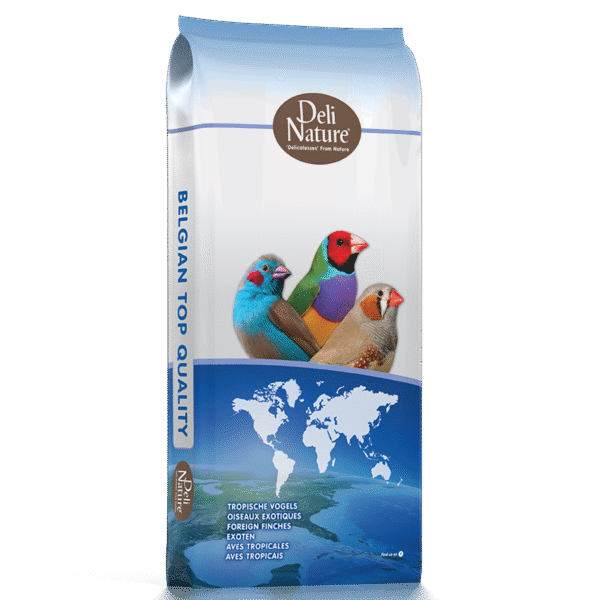 40 - Foreign Finches Basic