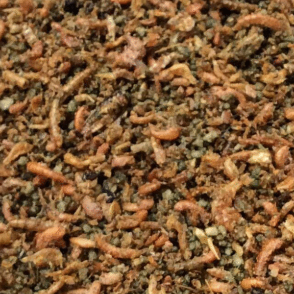 Insects Paté TOVO - Bilde 2