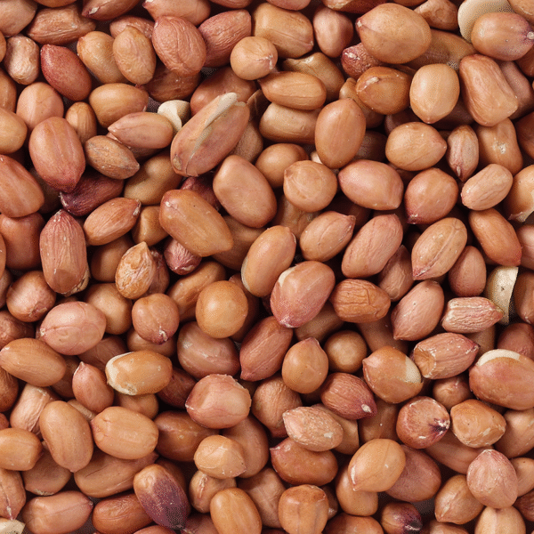 Peeled Groundnuts Premium - Bilde 2