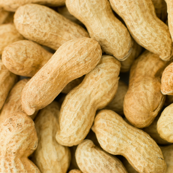 Groundnuts Premium - Bilde 2