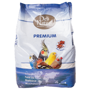 Shell Sand Premium White