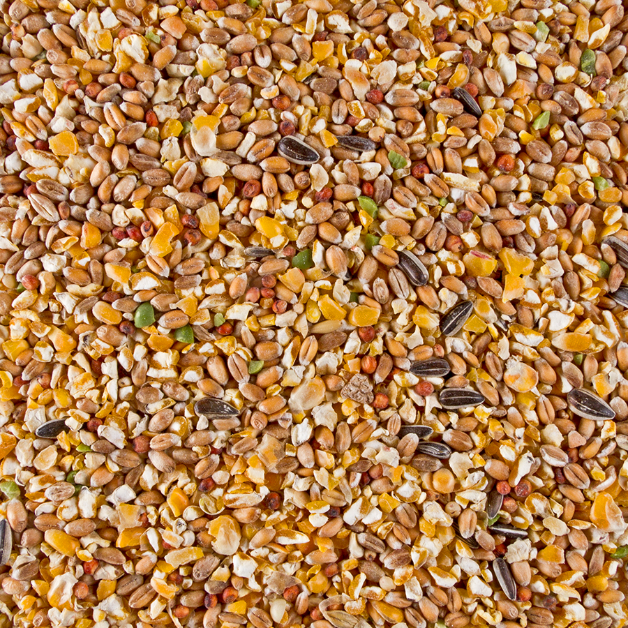 Chix Broken Grain Mix - Bilde 2