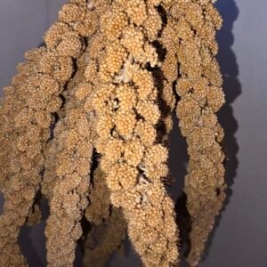 Hirse kolbe 0,5kg